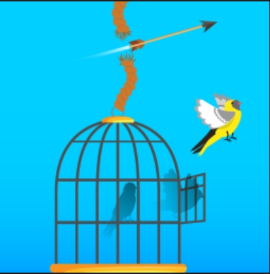 free-birds